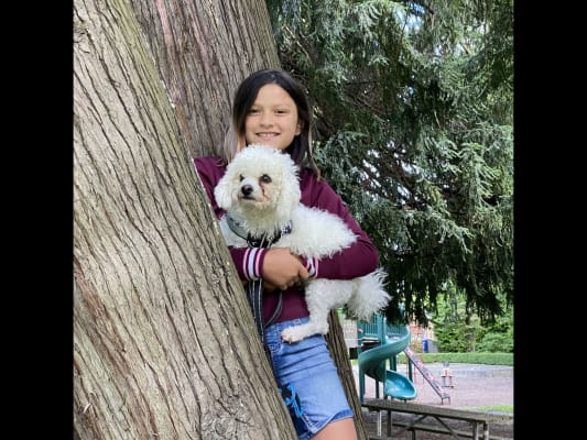 Need realiable pet sitter for my pets